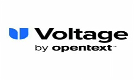 Voltage
